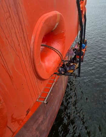 alpinsp (11)